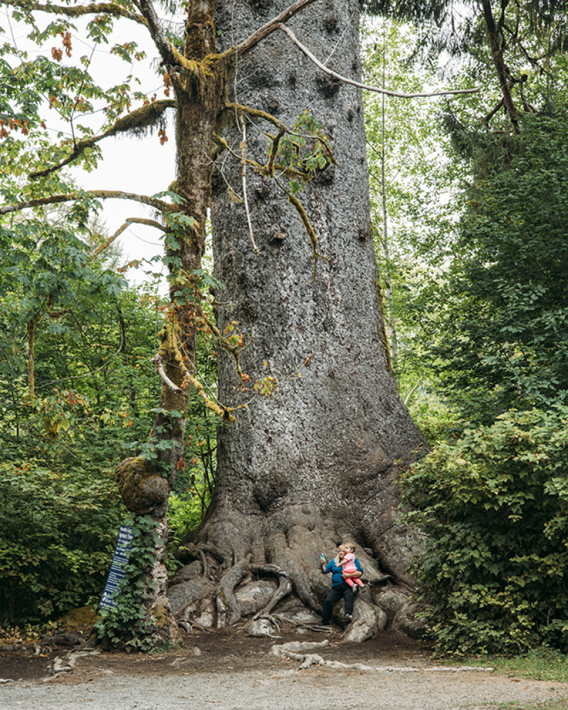 A woman and young child at the enormous base of the National Champion Sitka Spruce in Washington in 2018