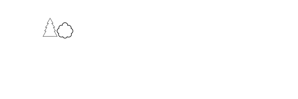 National Champion Tree Program - Champion Trees Reimagined