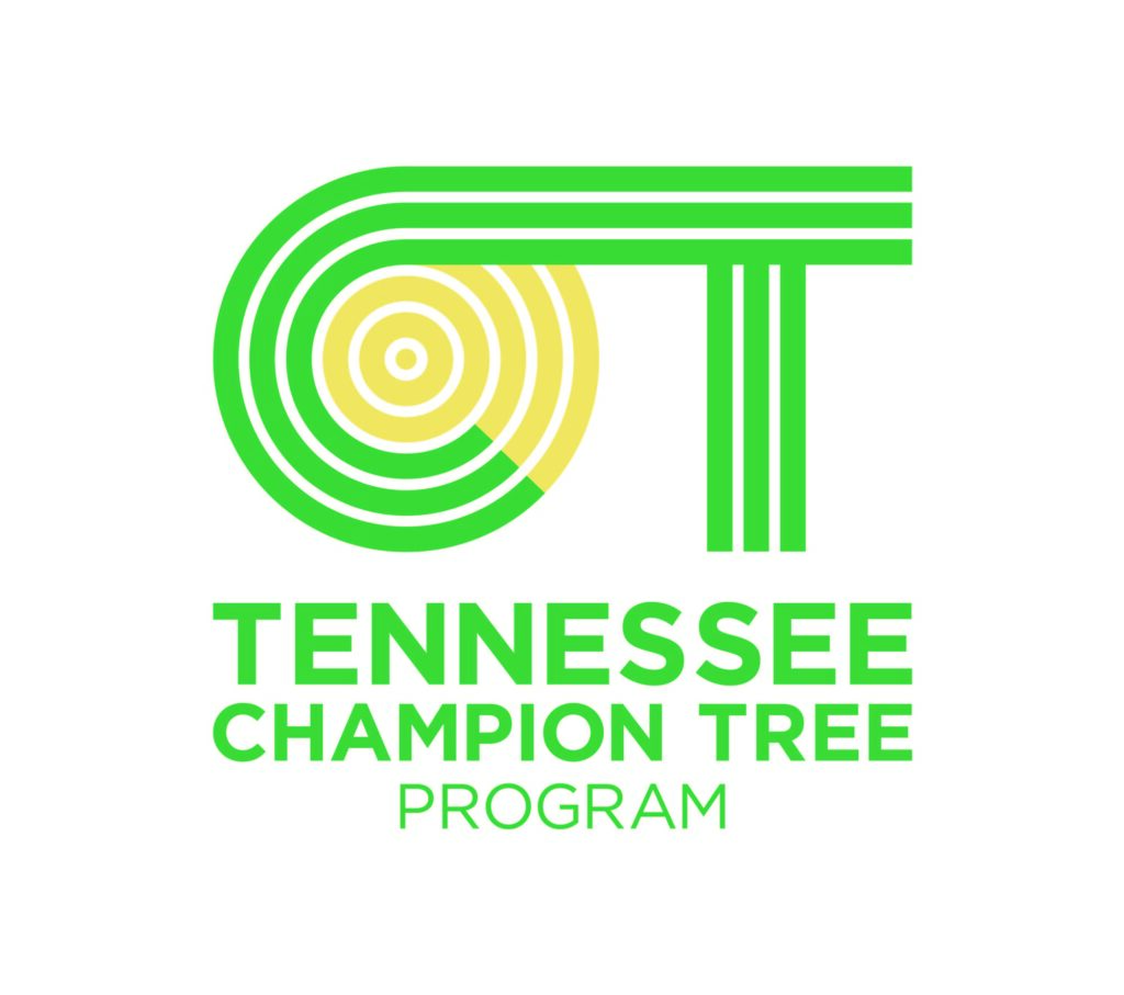 Tennessee Champion Tree Program logo
