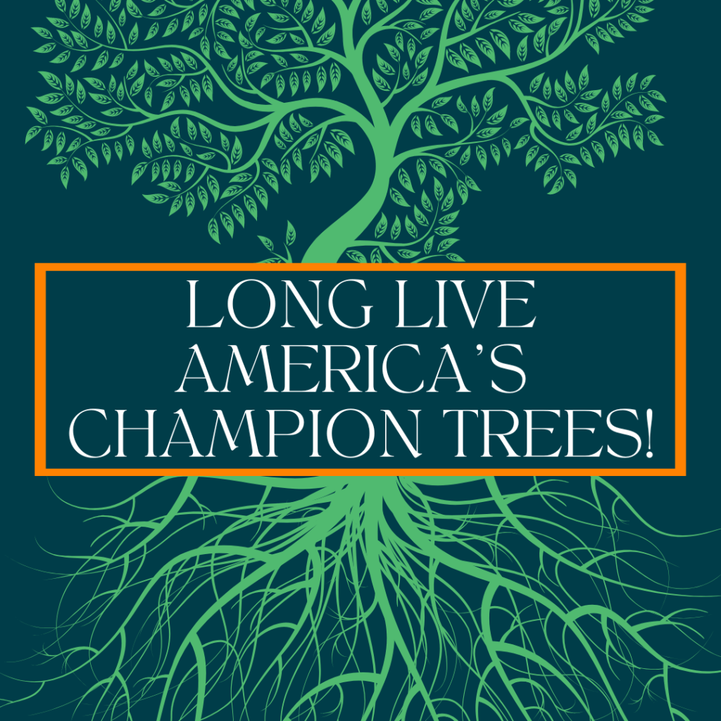 Long Live America's Champion Trees